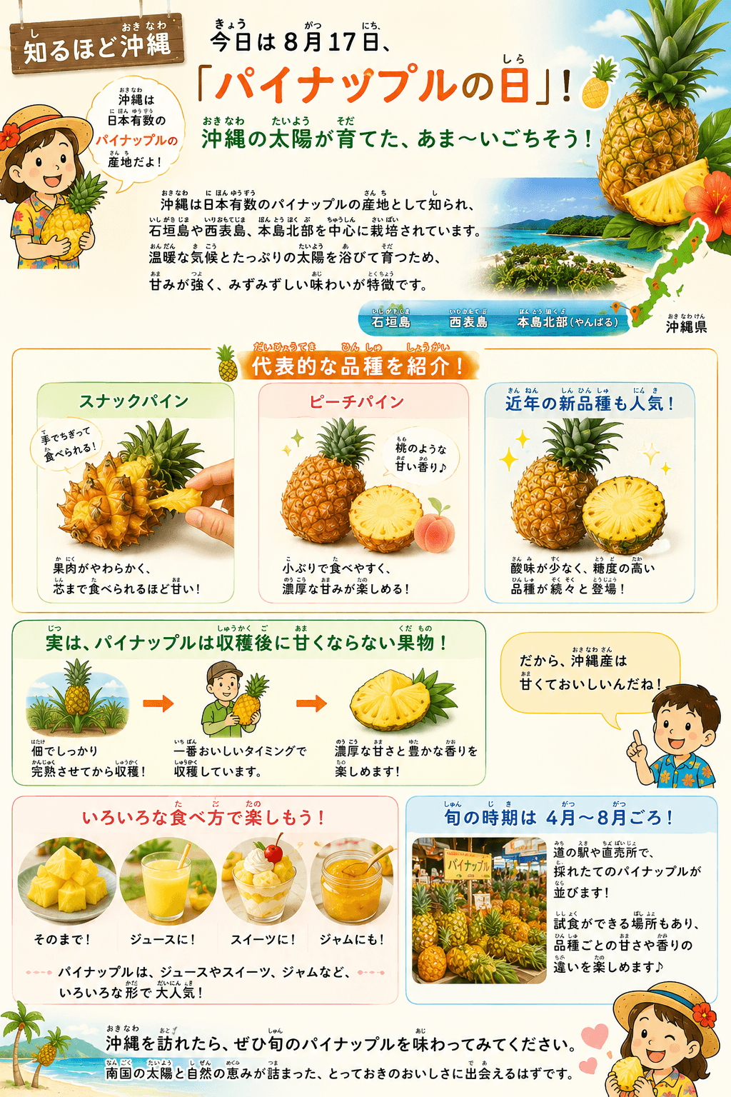 沖縄のパイナップルの産地や品種、食べ方、旬を紹介する図解