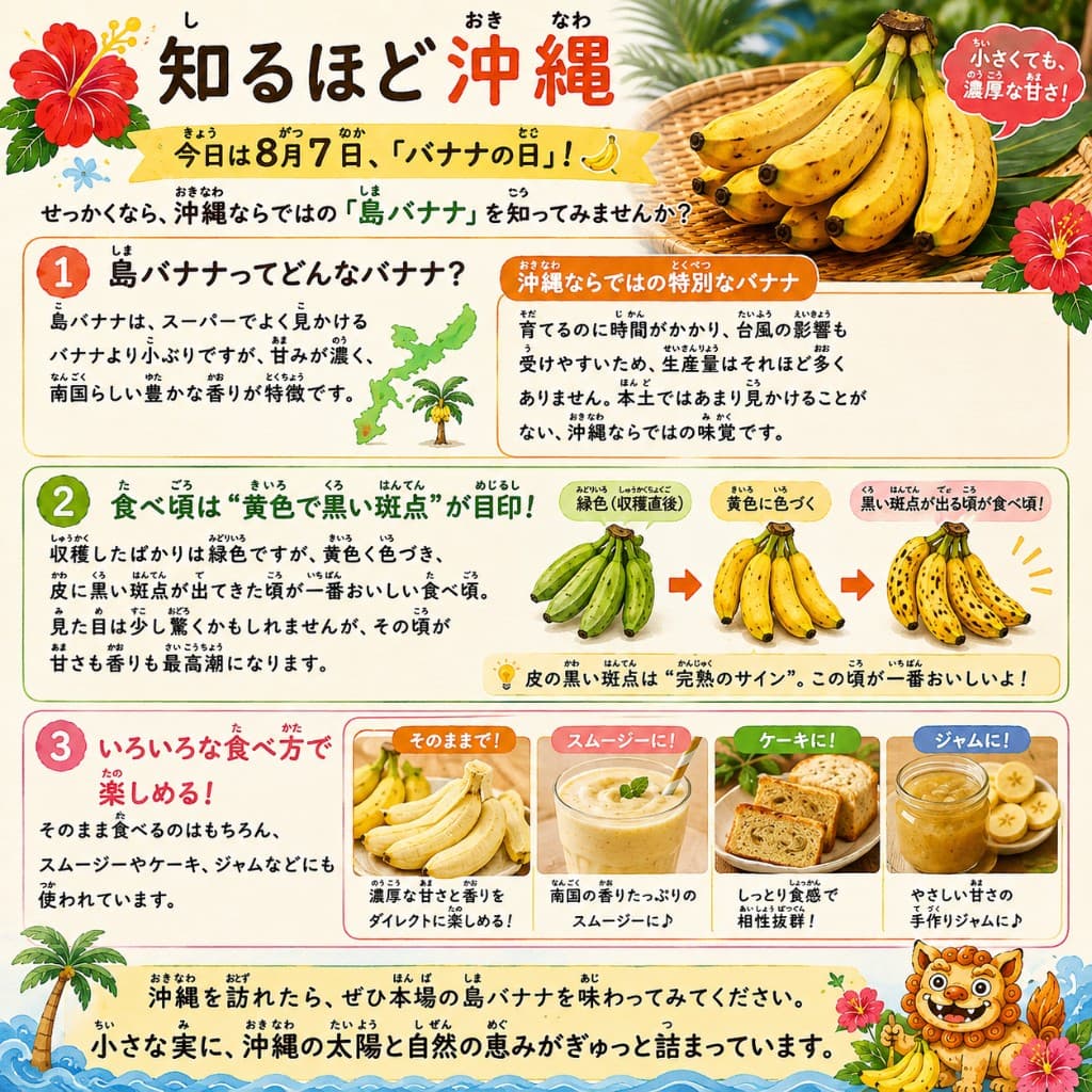 沖縄の島バナナの特徴をまとめたイラスト