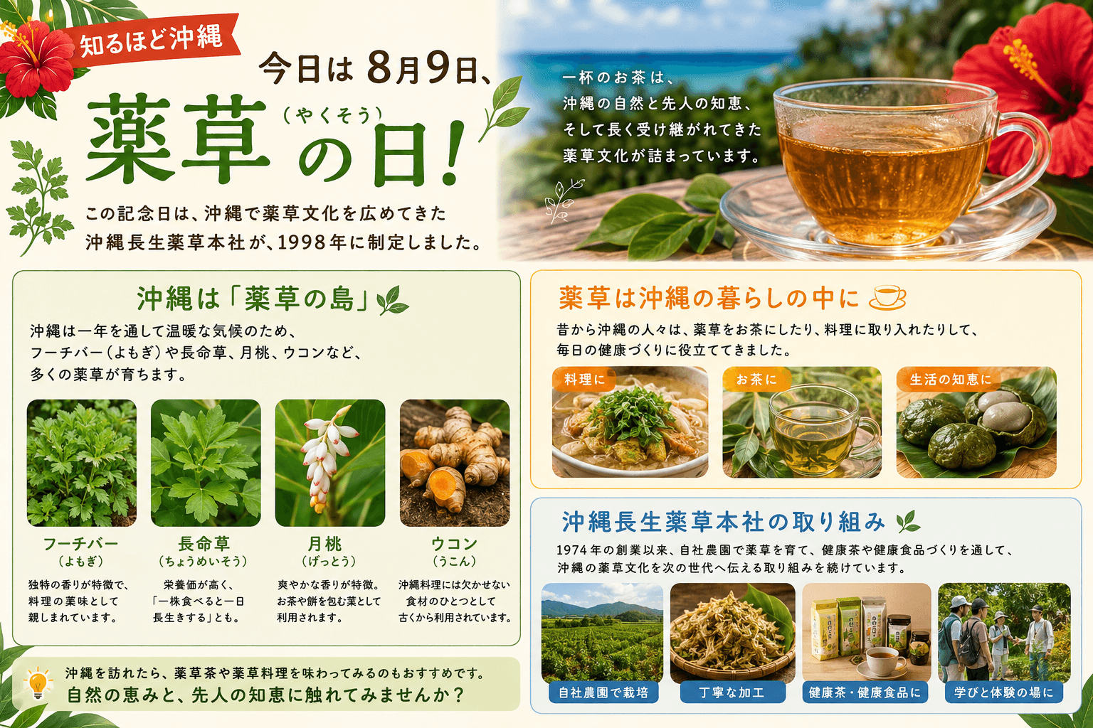 沖縄の代表的な薬草と暮らしへの取り入れ方をまとめたイラスト